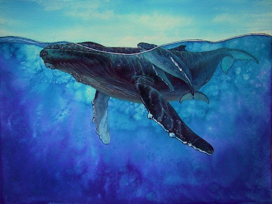 whale-painting-whale-illustration